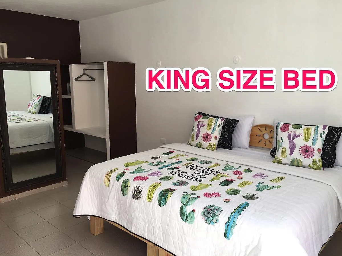 Suite Patricia Playa del Carmen Apartment